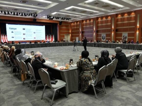 Sivil Toplum Kuruluşları Kadın Temsilcileri Buluşması